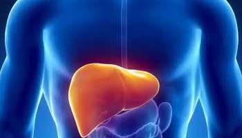 Fatty Liver: ഭക്ഷണത്തില്‍ ഇവ ഉള്‍പ്പെടുത്തൂ; ഫാറ്റി ലിവര്‍ പമ്പ കടക്കും