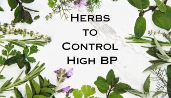 Herbs that control BP:  രക്തസമ്മർദ്ധം നിയന്ത്രിക്കും..! ഈ 5 ഔഷധങ്ങൾ കഴിക്കൂ