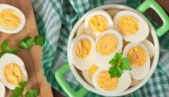 Egg Diet: ശൈത്യകാലത്ത് ഭക്ഷണത്തിൽ മുട്ട ചേർക്കാം... നിരവധിയാണ് ആരോ​ഗ്യ ​ഗുണങ്ങൾ