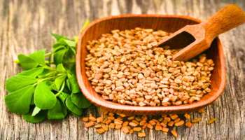 Fenugreek Disadvantages: നല്ലതുമാത്രമല്ല, ചീത്തയുമുണ്ട്; ഉലുവ അമിതമായി കഴിച്ചാൽ ഇത്രയും പ്രശ്നങ്ങളുണ്ടാവും