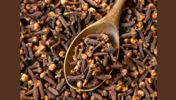 Benefits of Cloves: നിസ്സാരക്കാരനല്ല..! ​ഗ്രാമ്പുവിനുണ്ട് ഈ ​ഗുണങ്ങൾ