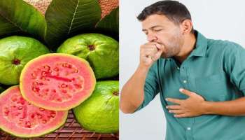 Guava Side Effects: പേരയ്ക്ക ഗുണങ്ങളാല്‍ സമ്പന്നം, ഈ അസുഖമുള്ളവര്‍ ഈ ഫലം കഴിക്കുന്നത്‌ ഒഴിവാക്കണം