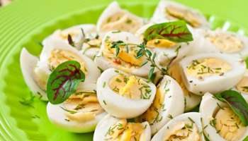 Egg Eating Benefits: ഭക്ഷണത്തിൽ മുട്ട ഉൾപ്പെടുത്തിയാൽ ഗുണമോ ദോഷമോ?