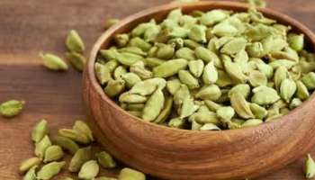 Cardamom Water: വെറും വയറ്റിൽ ഏലയ്ക്കാ വെള്ളം കുടിക്കാം; അത്ഭുതകരമായ ആരോഗ്യ ഗുണങ്ങൾ നേടാം