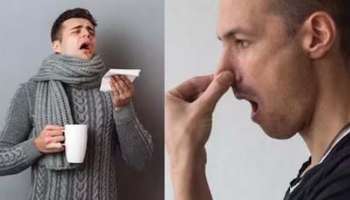 Sneezing: തുമ്മി തുമ്മി മടുത്തോ? ഈ വീട്ടുവൈദ്യങ്ങള്‍ ഒന്ന് പരീക്ഷിച്ചുനോക്കൂ 