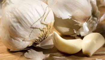 Garlic Benefits: വെറും വയറ്റിൽ വെളുത്തുള്ളി കഴിച്ചു നോക്കൂ...! ഈ ആരോഗ്യ ഗുണങ്ങൾ ഉറപ്പ് 