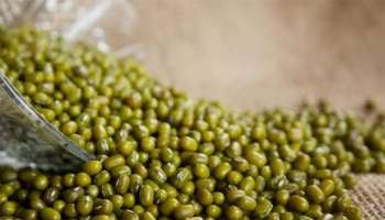 Mung bean: ദിവസവും പയർ കഴിക്കുന്നത് ശീലമാക്കൂ..! പ്രമേഹം ഉൾപ്പെടെയുള്ള രോഗങ്ങൾക്ക് പരിഹാരം