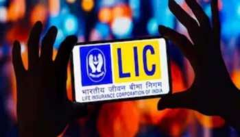 Loan Against LIC Policy: എല്‍ഐസി പോളിസി ഉണ്ടോ? എങ്കില്‍ ലോണും തരപ്പെടുത്താം