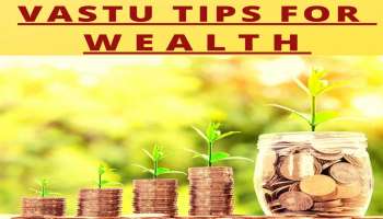 Vastu Tips for Wealth: രാത്രി ഉറങ്ങുന്നതിന് മുന്‍പ് ഇക്കാര്യങ്ങള്‍ ശ്രദ്ധിക്കൂ, പണത്തിന് കുറവുണ്ടാകില്ല