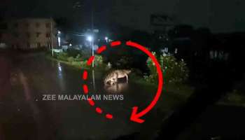 Cyclone Michuang Viral Video : മിഗ്ജൗമ് ചുഴലിക്കാറ്റിൽ വലഞ്ഞ് ജനം; ചെന്നൈയിൽ നടുറോഡിൽ ഭീമൻ മുതല