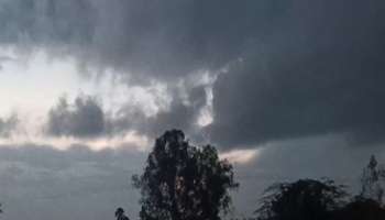 Michaung Cyclone: ചെന്നൈയിൽ കനത്ത മഴ തുടരുന്നു, 4 ജില്ലകളിൽ അവധി