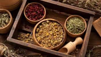 Ayurveda Detox: ശരീരത്തിലെ വിഷാംശം പുറന്തള്ളാൻ ആയുർവേദ പരിഹാരം