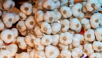 Garlic Price Kerala | കിലോ 300 രൂപയിലേക്ക്  വെളുത്തുള്ളി വില, പൊന്നും വിലക്ക് കാരണം എന്ത്?