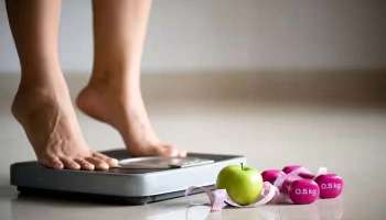 Weight Gain Diet Plan: ശരീരഭാരം വർദ്ധിപ്പിക്കാം, ഈ 5 ഭക്ഷണങ്ങൾ ഡയറ്റില്‍ ഉള്‍പ്പെടുത്തൂ