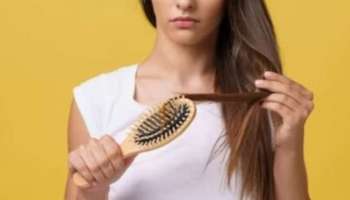 Hair Care Tips: മുടി കൊഴിച്ചിൽ രൂക്ഷമാകുന്നോ... കാരണങ്ങൾ അറിയാം, പരിഹാരമുവുമുണ്ട്