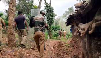 Wayanad Tiger attack: പിടിതരാതെ നരഭോജി കടുവ; തിരച്ചിൽ ഊർജിതമാക്കി വനംവകുപ്പ്