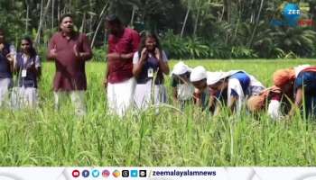 Paddy farming in NSS Highschool Palode