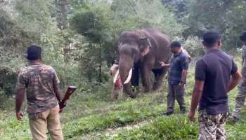 Tiger attack: കടുവയെ ഇന്നും പിടികൂടാനായില്ല; മൂടക്കൊല്ലിയില്‍ നിരോധനാജ്ഞ നീട്ടി