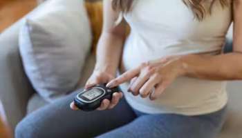 Gestational Diabetes Diet: ​ഗർഭകാലത്തെ പ്രമേഹം; രക്തത്തിലെ പഞ്ചസാരയുടെ അളവ് നിയന്ത്രിക്കും ഈ ഭക്ഷണങ്ങൾ