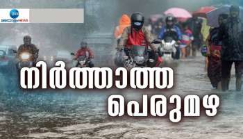 Kerala Rain Alert | നാല് ജില്ലകളിൽ ഇന്ന് തീവ്രമഴ, ഇടിമിന്നലും പ്രതീക്ഷിക്കാം