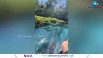 Viral Video anaconda swimming under the water mind blowing visuals