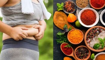 Weightloss Tips: അടിവയറ്റിലെ കൊഴുപ്പ് അലിയിക്കണോ..? അടുക്കളയിലുണ്ട് പരിഹാരം