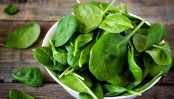 Spinach Benefits: ഹൃദയം മുതൽ മസ്തിഷ്കാരോ​ഗ്യം വരെ..! ചീരയുടെ അതിശയിപ്പിക്കും ​ഗുണങ്ങൾ