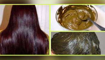 Henna for Hair: മൈലാഞ്ചിയ്ക്കൊപ്പം ഇവ കൂടി ചേര്‍ത്തോളൂ മുടിയ്ക്ക് ലഭിക്കും തിളക്കവും ആരോഗ്യവും 