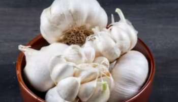 Garlic Health Benefits: ശൈത്യകാലത്ത് വെളുത്തുള്ളി കഴിക്കുന്നത് വിവിധ രോ​ഗങ്ങളെ തടയും; അറിയാം വെളുത്തുള്ളിയുടെ ​ഗുണങ്ങൾ