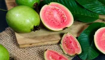 Guava: പേരയ്ക്ക നിസ്സാരക്കാരനല്ല! അറിഞ്ഞിരിക്കണം ഈ ആരോഗ്യ ഗുണങ്ങൾ 