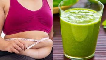 Weight Loss Drinks: വയർ ഒന്ന് ഒതുക്കണോ? ഈ ജ്യൂസുകൾ ശീലച്ചോളൂ, ഫലം ഉറപ്പ്!