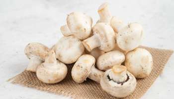 Mushroom Eating Benefits | കൂൺ കഴിച്ചോളു, ഈ 5 രോഗങ്ങളിൽ നിന്ന് രക്ഷപ്പെടാം