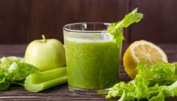 Celery Juice Benefits: സെലറി ജ്യൂസ് ആരോ​ഗ്യത്തിന് മികച്ചത്... ​ഗുണങ്ങൾ അറിയാം