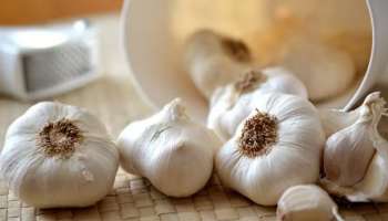 Garlic Benefits | വെളുത്തുള്ളി രണ്ടല്ലി, ഗുണങ്ങൾ എത്രയെന്ന് അറിയുമോ..?