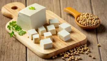 Tofu Benefits: പ്രോട്ടീൻ അളവ് വർധിപ്പിക്കാൻ ടോഫു സഹായിക്കും... പനീറും ടോഫുവും തമ്മിലുള്ള വ്യത്യാസങ്ങൾ അറിയാം