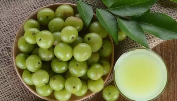 Gooseberry Juice: വെറും വയറ്റിൽ നെല്ലിക്ക ജ്യൂസ്... ശരീരത്തിൽ അത്ഭുതകരമായ മാറ്റങ്ങൾ..!