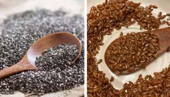 Chia and flaxseeds: ചിയ സീഡ്സോ ഫ്ലാക്സ് സീഡ്സോ കൂടുതൽ ആരോ​ഗ്യകരം? ഇക്കാര്യങ്ങൾ അറിയാം