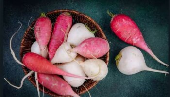 Radish Benefits: ആഴ്ച്ചയിൽ 3 ദിവസം മുള്ളങ്കി കഴിക്കൂ...! ഈ രോ​ഗങ്ങളോട് ബൈ പറയൂ..