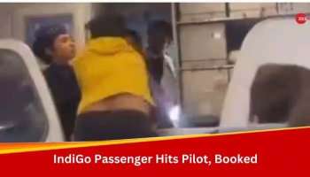 Passenger Hits Pilot: വിമാനം വൈകി, പൈലറ്റിനെ മർദിച്ച് ഇൻഡിഗോ യാത്രക്കാരന്‍