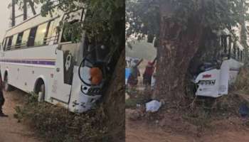 Bus Accident: അയ്യപ്പ ഭക്തർ സഞ്ചരിച്ച ബസ് മരത്തിലിടിച്ച് 15 ഓളം പേർക്ക് പരിക്ക്!