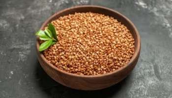 Fenugreek: പ്രമേഹ നിയന്ത്രണത്തിന് ഉലുവ; അറിയാം ഗ്ലൂക്കോസിന്റെ അളവ് നിയന്ത്രിക്കാൻ ഉലുവ എങ്ങനെ സഹായിക്കുമെന്ന്