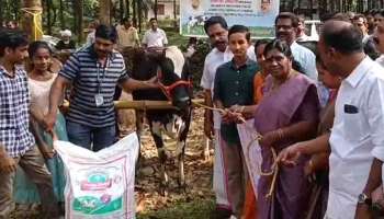 കുട്ടി കർഷകർക്ക് കൊടുത്ത വാക്ക് പാലിച്ച് സർക്കാർ; അഞ്ച് പശുക്കളെ കൈമാറി