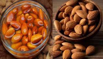 Almonds Benefits: ബദാം പോഷകങ്ങളുടെ കലവറ, എപ്പോള്‍ കഴിയ്ക്കുന്നതാണ് കൂടുതല്‍ ഗുണകരം? 