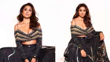 Shriya Saran: വെറൈറ്റി ഔട്ട്ഫിറ്റിൽ ശ്രിയ ശരൺ; ചിത്രങ്ങൾ കാണാം