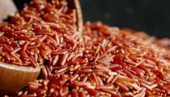 Brown Rice Benefits: നിങ്ങൾ ചുവന്ന അരിയുടെ ചോറാണോ കഴിക്കുന്നത്? എങ്കിൽ ആ കാര്യങ്ങൾ ഓർത്തോളൂ..