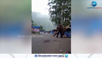 Wild Elephant Attack In Munnar Idukki