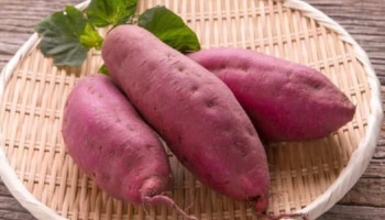 Sweet Potato: മധുരക്കിഴങ്ങിന്റെ മധുരമൂറും ​ഗുണങ്ങൾ അറിയാമോ..? 
