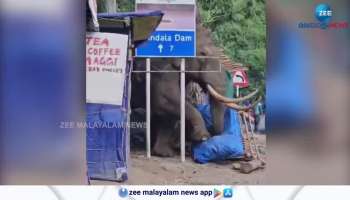 Wild Elephant Attack In Munnar