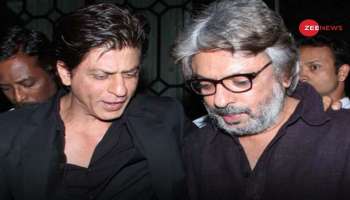 Shahrukh Khan Next Film: ഷാരൂഖ് ഖാന്‍റെ അടുത്ത ചിത്രം സഞ്ജയ് ലീല ബൻസാലിയ്ക്കൊപ്പം? 