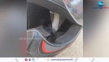 Viral Video snake hiding on a helmet people gets  Shocked